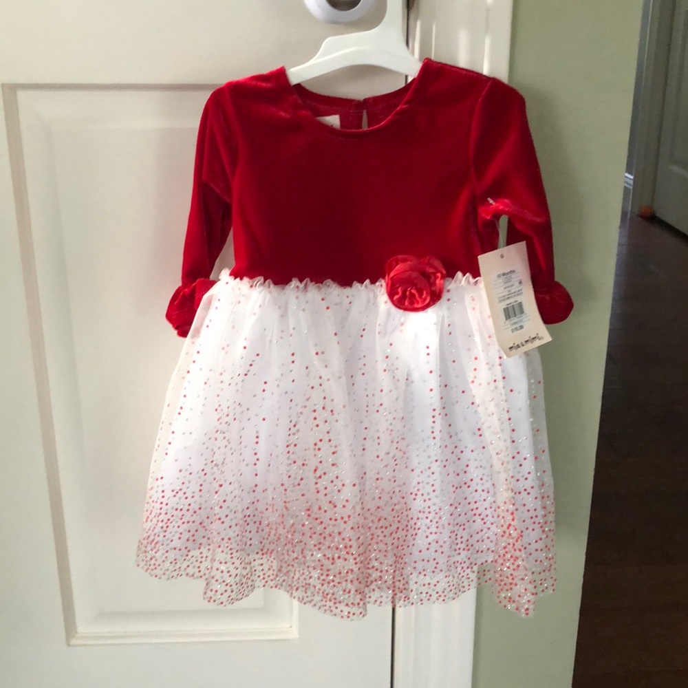 NWT 18 month holiday/special occasion dress